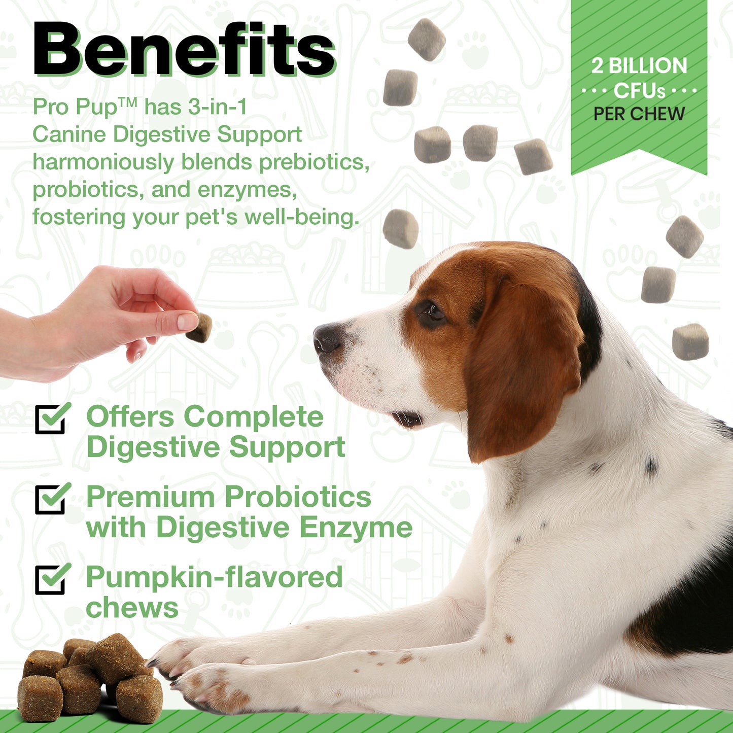 Pawlife Probiotic Chews for Dogs - Pro Pup Dog Probiotics 120 Pack (Pumpkin Flavor)