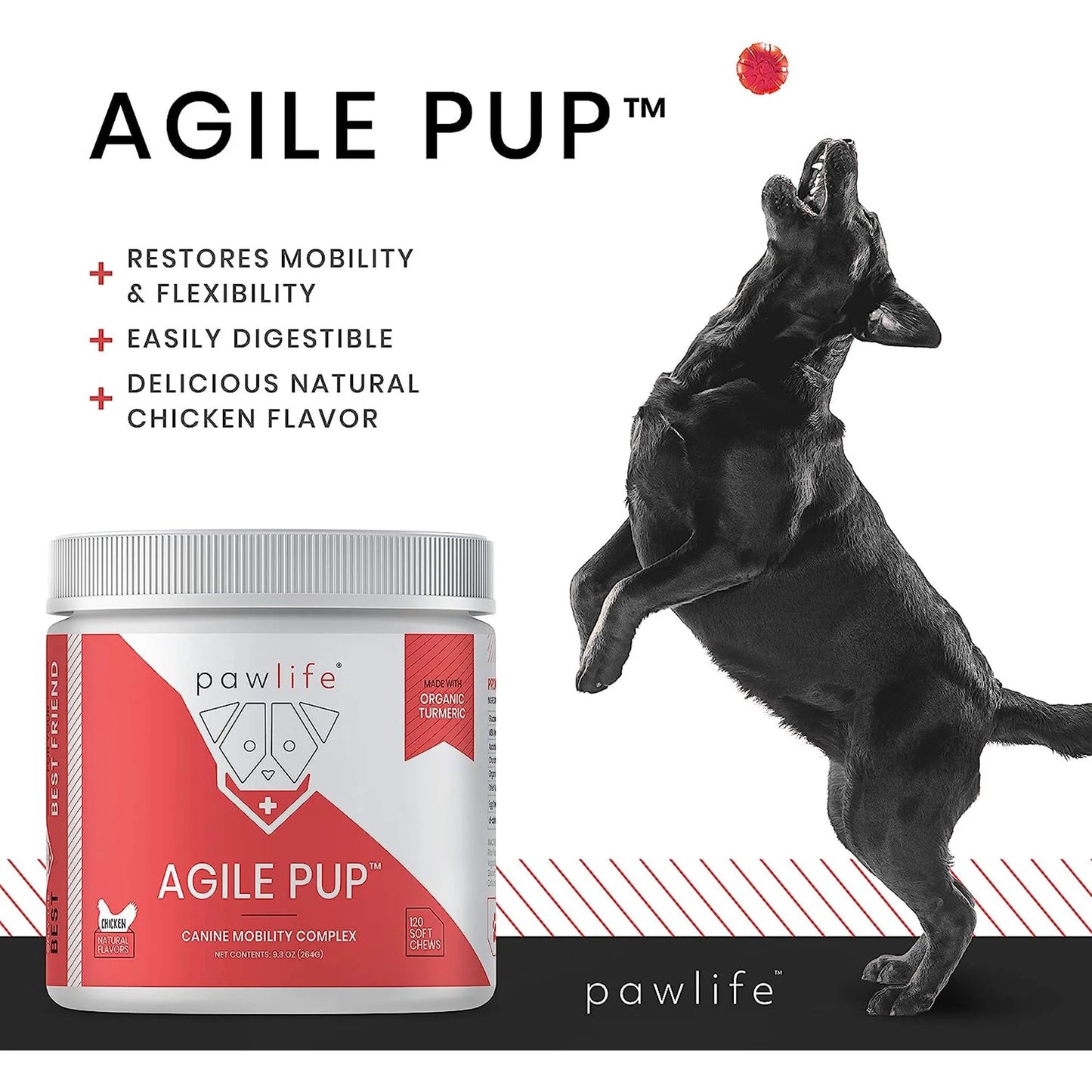 Pawlife Agile Pup Natural Dog supplements Hip and Joint Supplement for Dogs