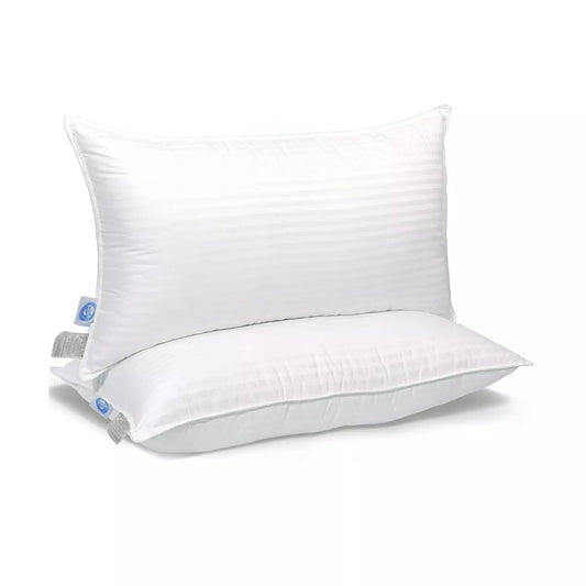 East Coast Bedding Cozy Dream Firm Goose Feather Down Pillow Medium Support Set of 2