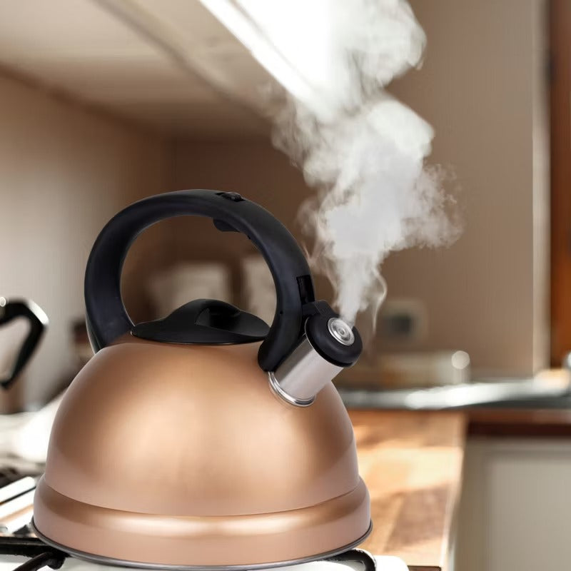 3 Qt Heavy Duty Stainless Steel Whistling Tea Kettle