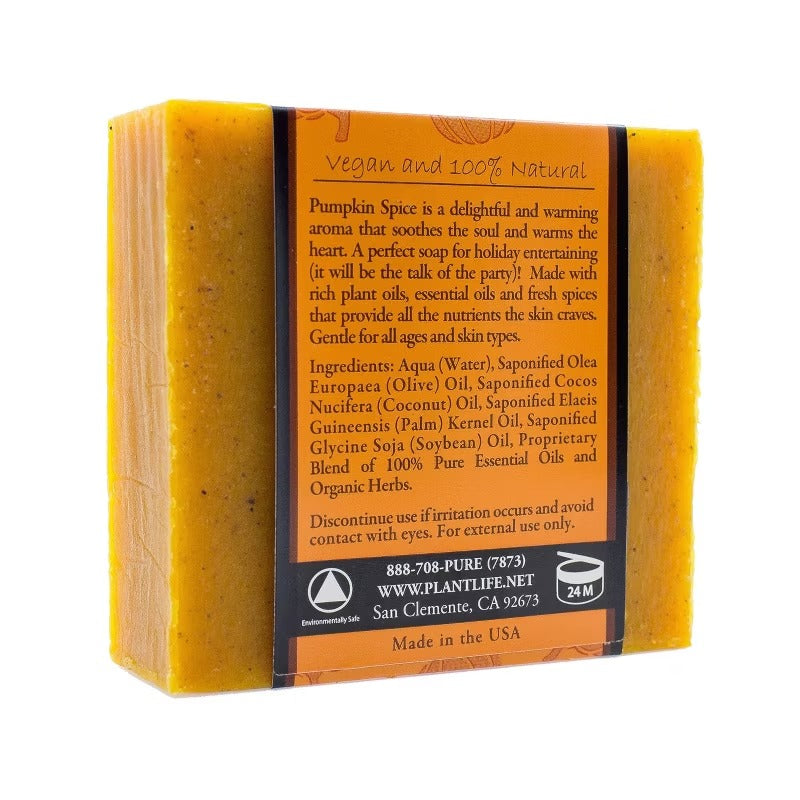 Plantlife Pumpkin Spice Bar Soap – Moisturizing, Soothing, Handcrafted, Plant-Based