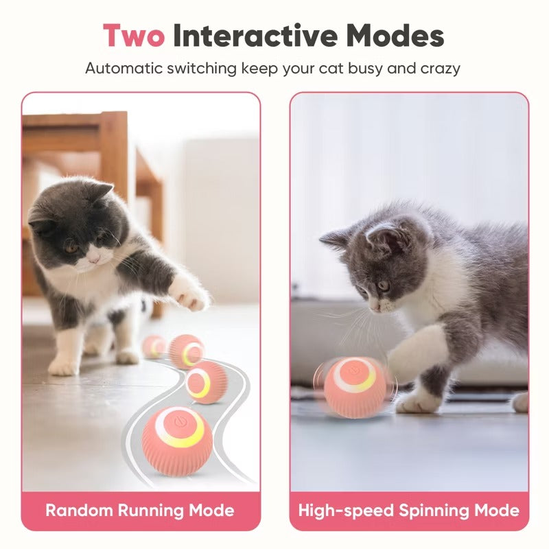 Petbobi Interactive Cat Toys, Ball Automatic Rolling with LED Light