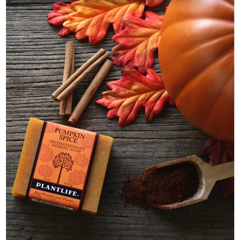 Plantlife Pumpkin Spice Bar Soap – Moisturizing, Soothing, Handcrafted, Plant-Based