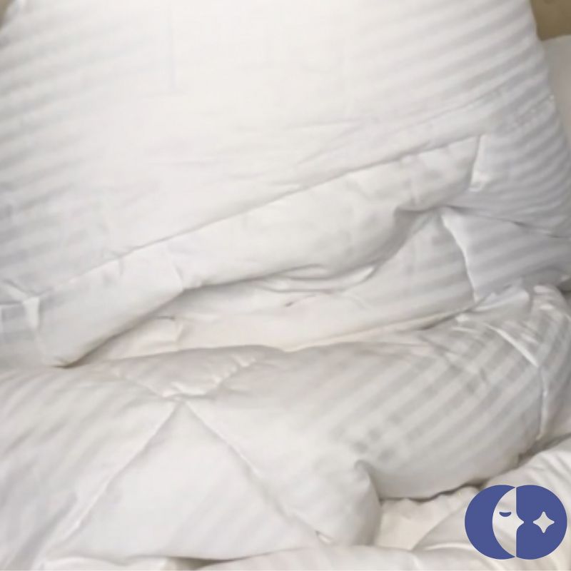 Continental Bedding Affinity All Season Down Alternative Duvet Insert Comforter