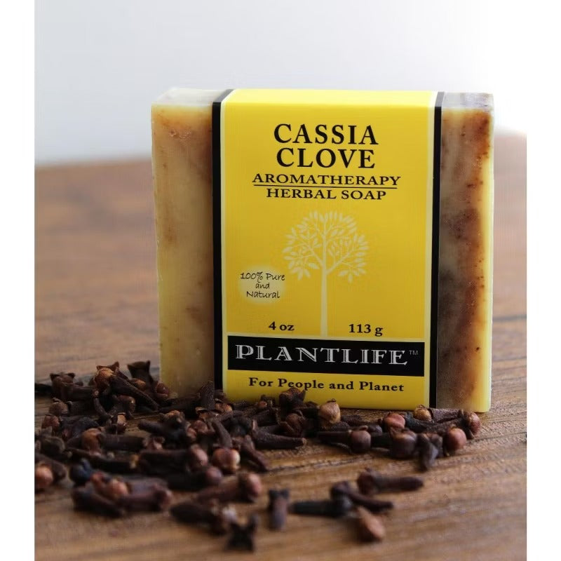 Plantlife Cassia Clove Bar Soap – Moisturizing, Soothing, Handcrafted, Plant-Based – Made in California, 4oz