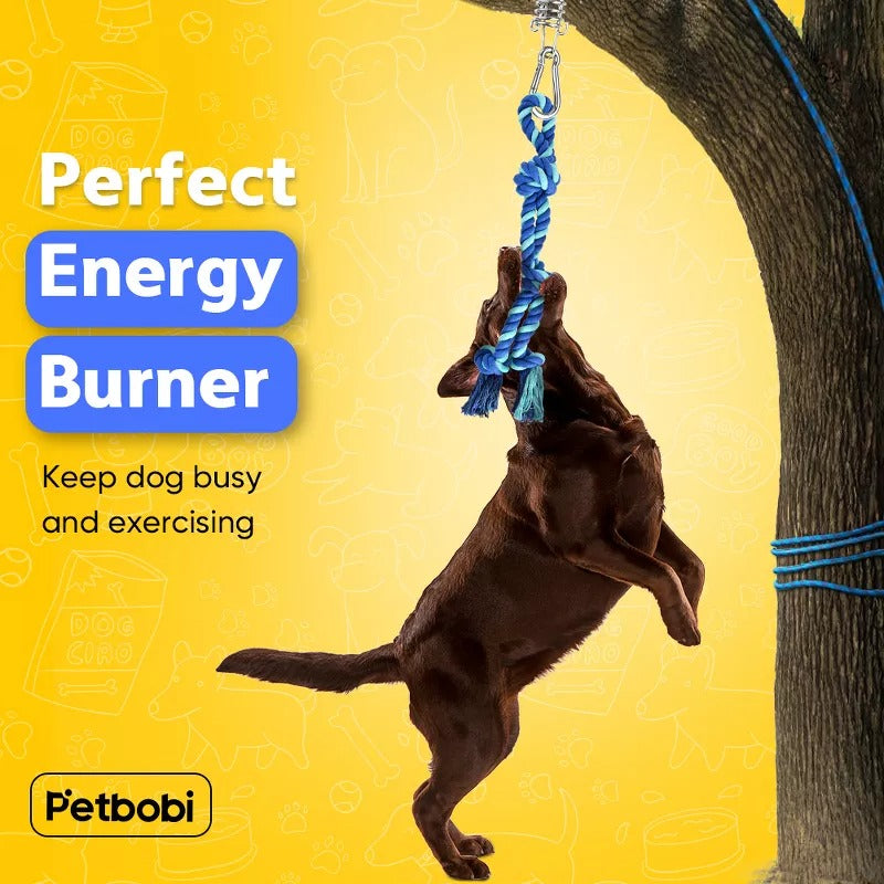 Petbobi Bungee Dog Toy, Spring Pole Tether Tug with Durable Rope