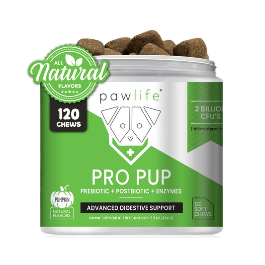 Pawlife Probiotic Chews for Dogs - Pro Pup Dog Probiotics 120 Pack (Pumpkin Flavor)