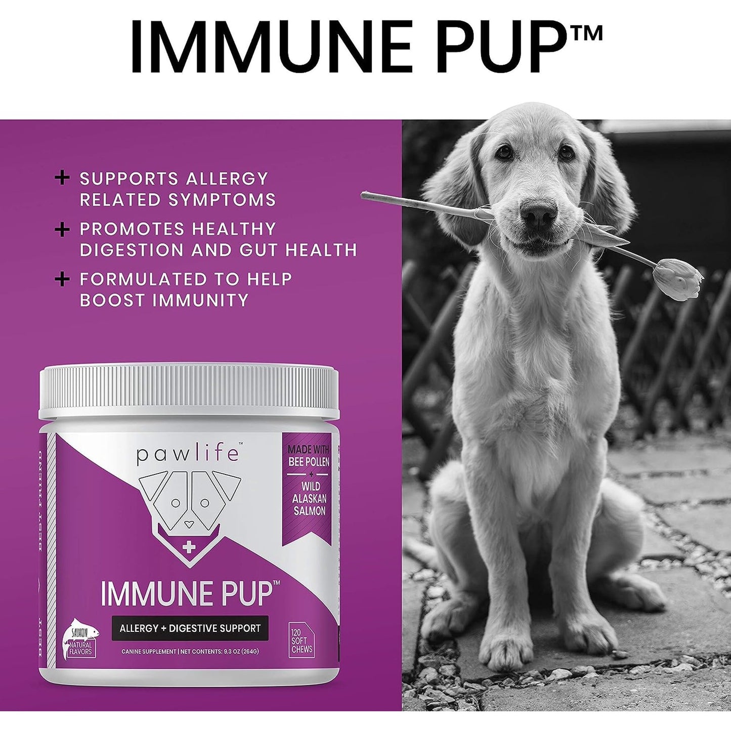 Pawlife Immune Pup Dog Supplement Allergy with Digestive Support Salmon Flavor Soft Chews 120 count