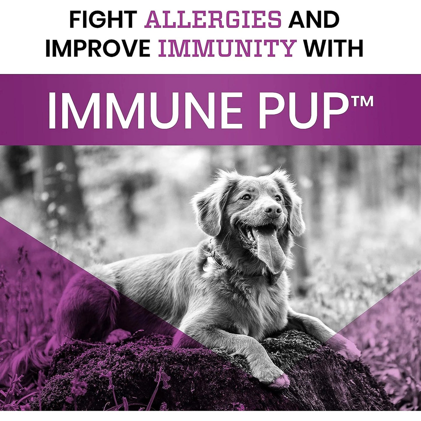 Pawlife Immune Pup Dog Supplement Allergy with Digestive Support Salmon Flavor Soft Chews 120 count