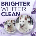 PurePaws Premium Dog Shampoo (5)