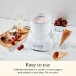 Cuisinart_Ice_Cream_Maker (2)