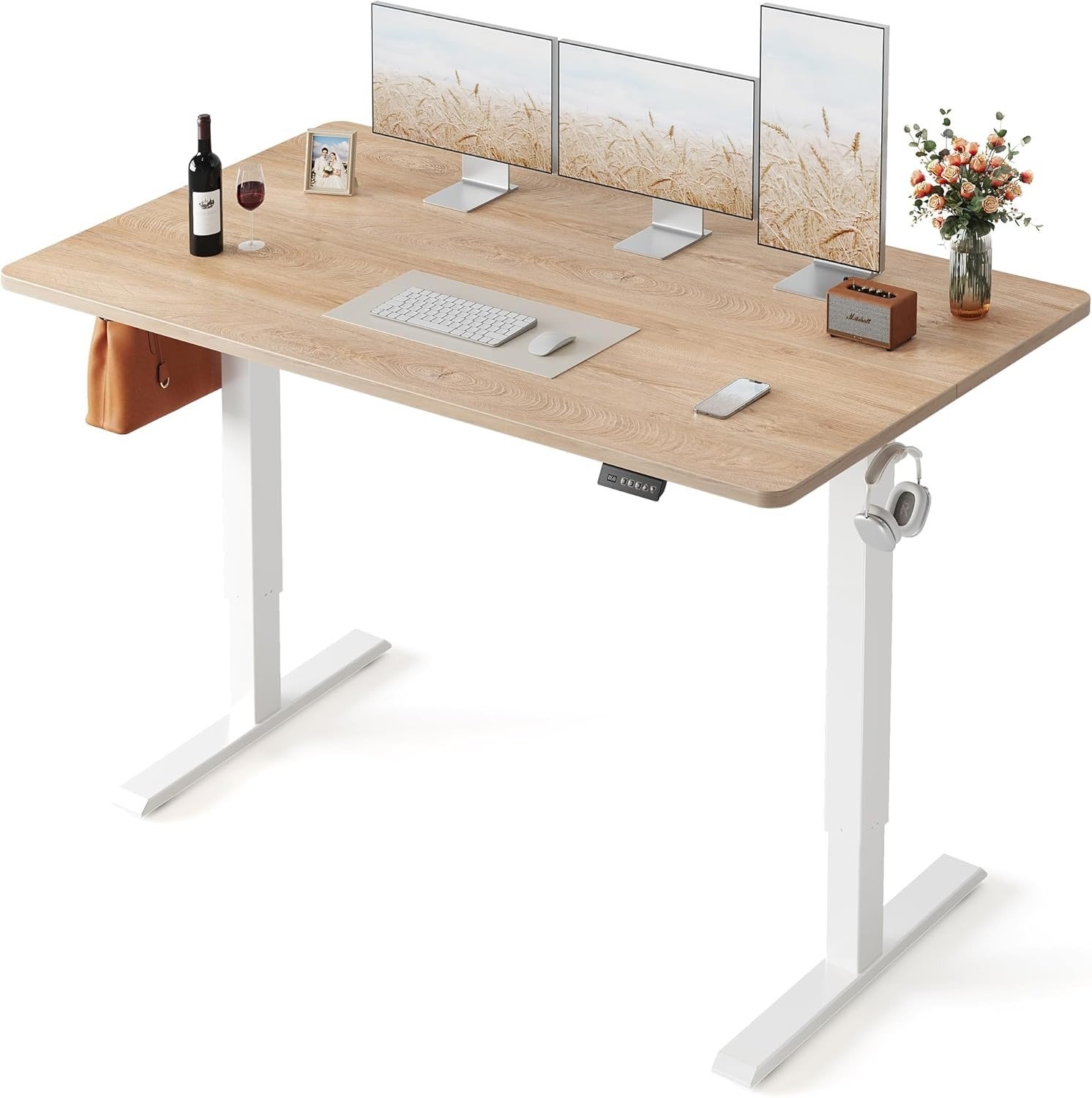 FEZIBO Electric Standing Desk