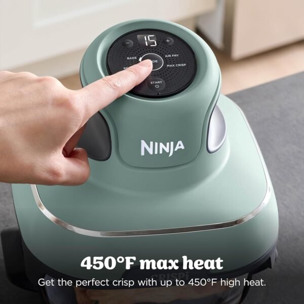 Ninja-Crispi (2)