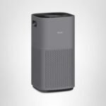 Best Air Purifier for Large Rooms