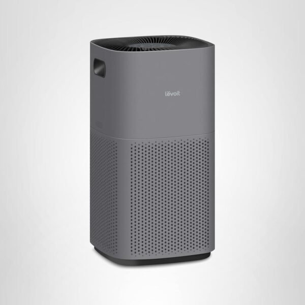Best Air Purifier for Large Rooms