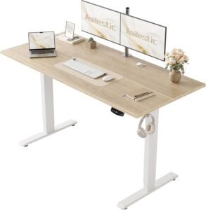 Agilestic Electric Standing Desk Review