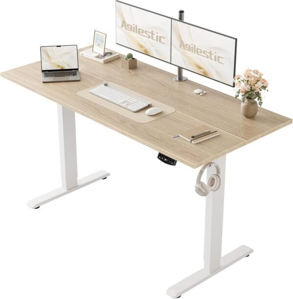 Agilestic 48 * 24 Inch Height Adjustable Electric Standing Desk