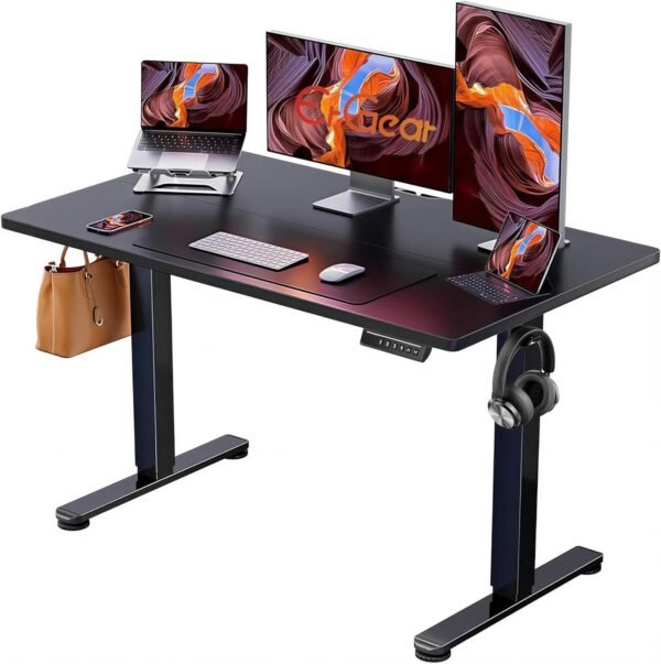 ErGear 48 X 24 Inch Height Adjustable Electric Standing Desk