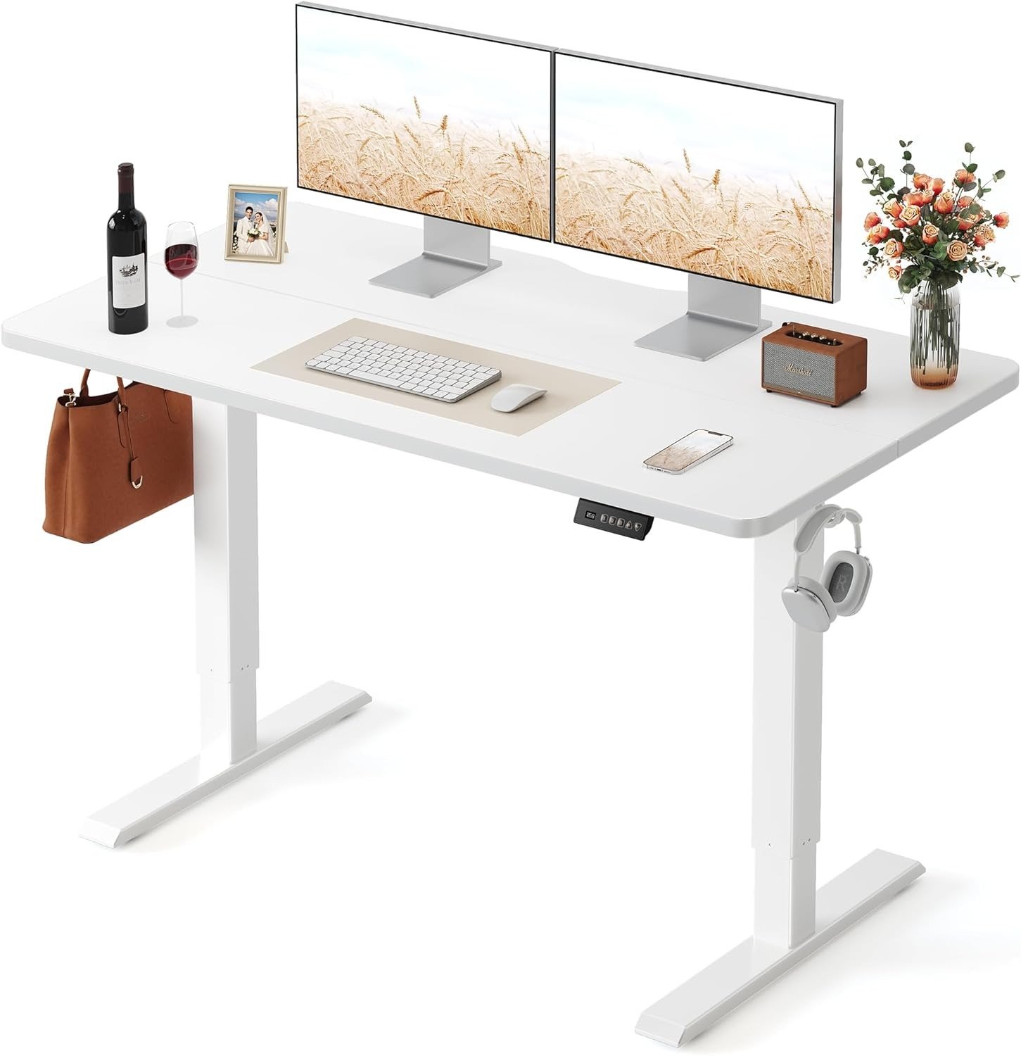 FEZIBO 48 x 24 Inchs Electric Standing Desk