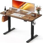 FEZIBO 48 x 24 Inchs Electric Standing Desk