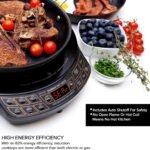 Nuwave Precision Induction Cooktop Gold
