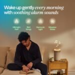 BLUEAIR Air Purifiers with Sunrise
