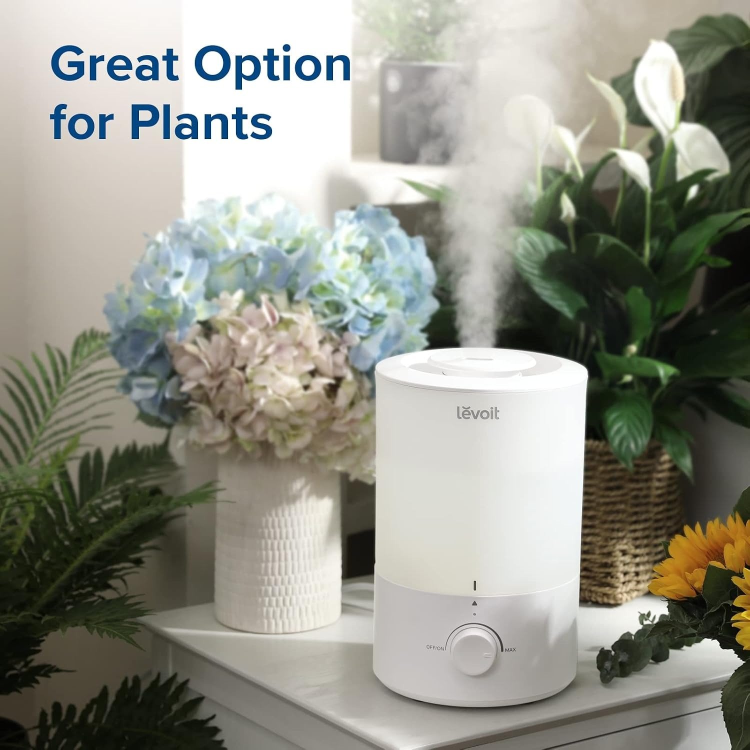 Aroma Diffuser